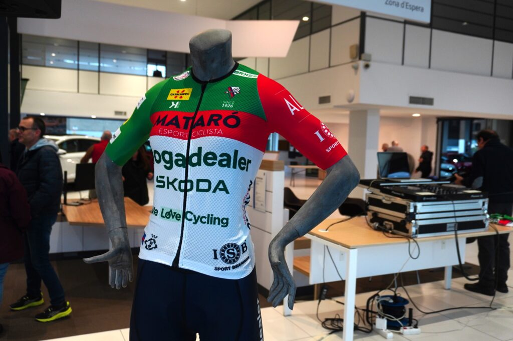 SKODA MOGADEALER X ECM