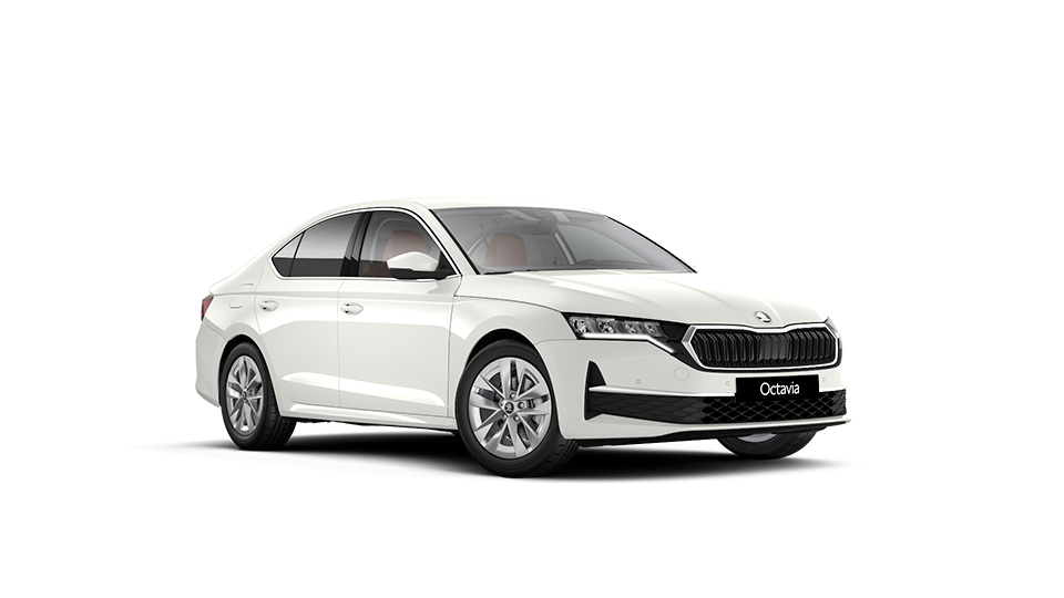 SKODA RENTING - LIMO