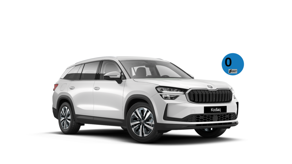 SKODA DAYS - SKODA KODIAQ IV